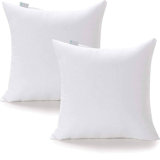 Pillow Insert
