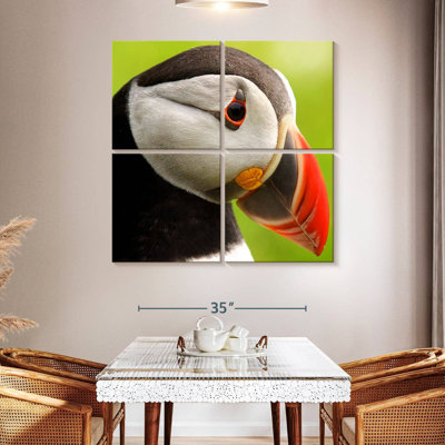 Brampt Wild Puffin