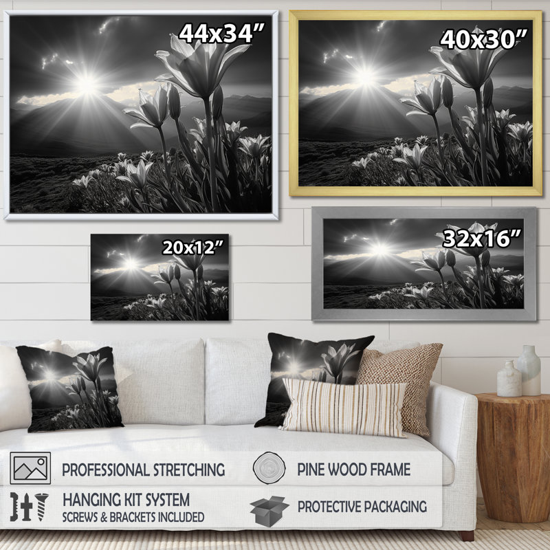 Monochrome Tulips Field With Sunset - Floral Wall Decor56, Blanc, H 30 po x l 40 po x P 1,5 po