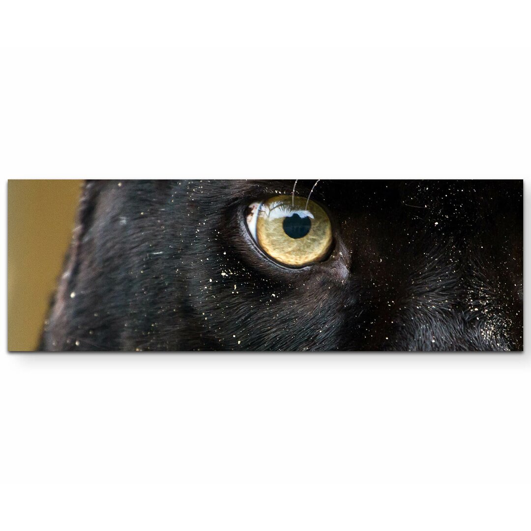 Leinwandbild Panther Auge – Nahaufnahme