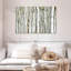 Bois de bouleau Alvord-107524078
