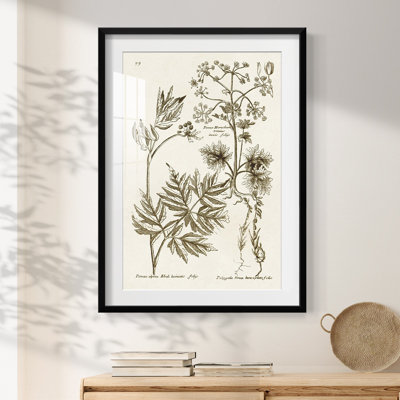Andromeda -Gallery Wrapped Canvas