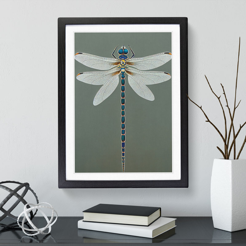 Breathtaking Dragonfly - Single Picture Frame Print, Black, 34cm H x 25cm W x 2cm D