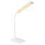 Dragutin USB Desk Lamp