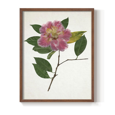 Reproduction encadrée pressée Camellia II - bois massif