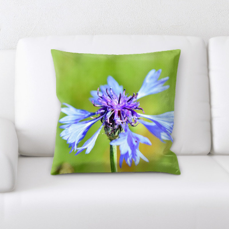 Coussin décoratif alpine bleuet