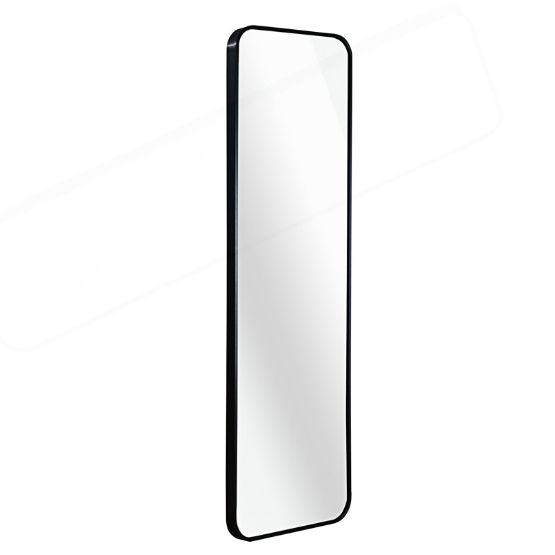 47 X 14In Door Mirror, Black