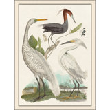 Trio Comparison' Framed Print on Glass