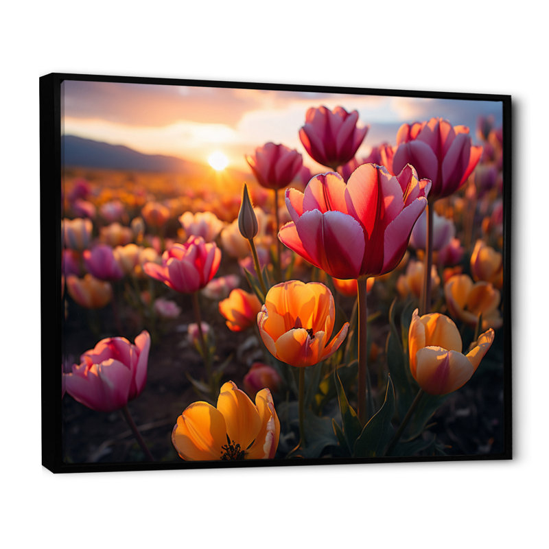 Tulipes «Fields of Color V», reproduction sur toile, Cadre flottant noir, H 30 po x l 40 po x P 1,5 po