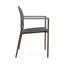 Chaise d'invité Chat Chat-98881972-98671418