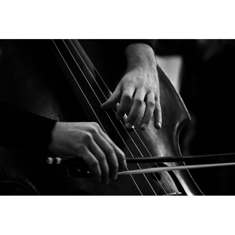 Hands Of A Musician by Furtseff - Wrapped Canvas Print, 30cm H x 46cm W x 3.8cm D