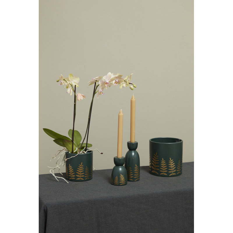 Midwinter Fern Pot 5.25"x 4.75"
