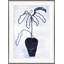 San Augustin Giclee Print by Susan Hable