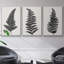 "Forest Fern I", ensemble de 3 toiles encadrées-97796017-97796025