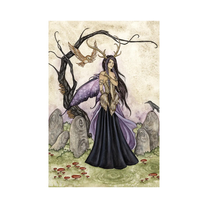 Wisdom by Amy Brown - Wrapped Canvas Print, 20.32 cm H x 30.48 cm W