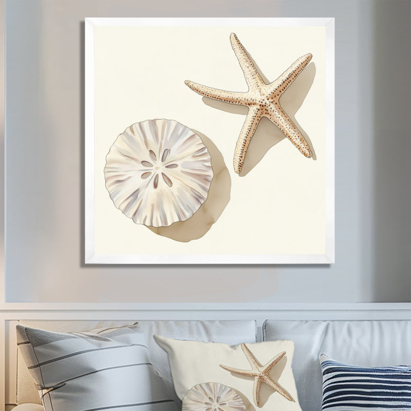 Ensemble de dollars des sables blancs et bruns et d'étoiles de mer - Tableau encadré, H 30 po x l 30 po, White Picture Framed
