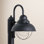 Audrey Seeded Lantern Head