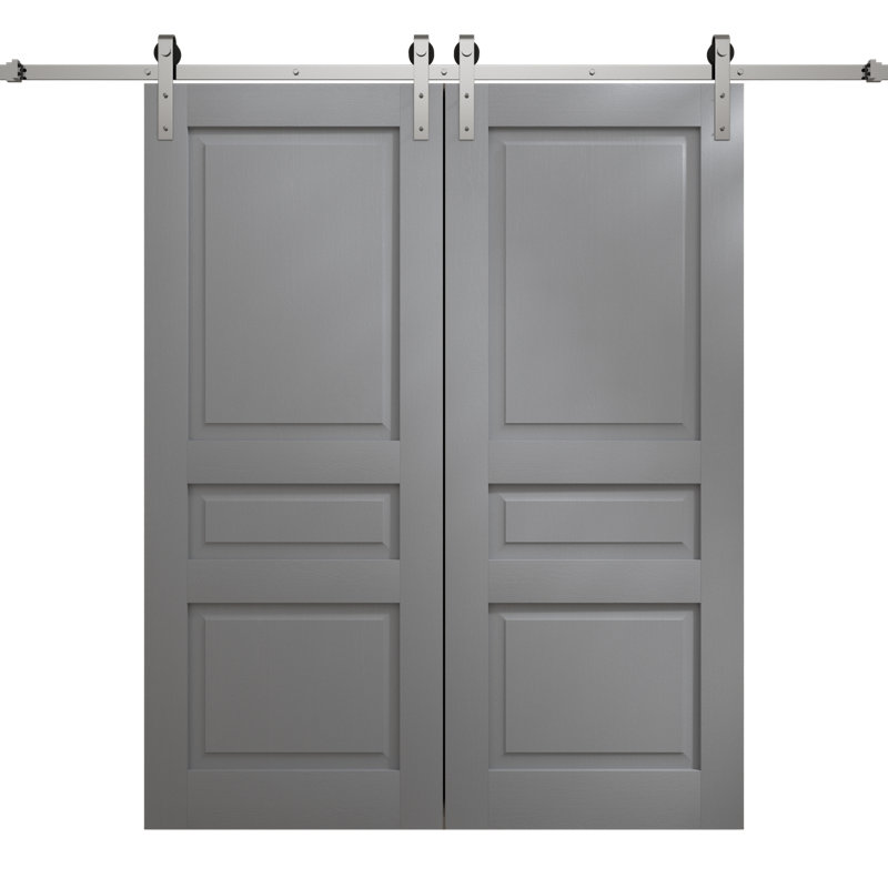 Porte de grange double moderne | Ego 5012 | Ensemble de rail argenté | Portes intérieures solides, Chêne gris peint