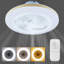 Ceiling Fan with LED Lights