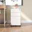 Armoire Shaker