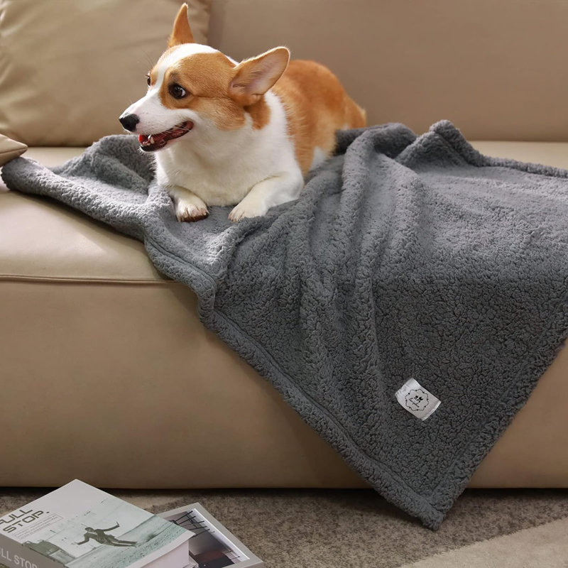 Pet Blanket, Grey, 41" L x 31" W