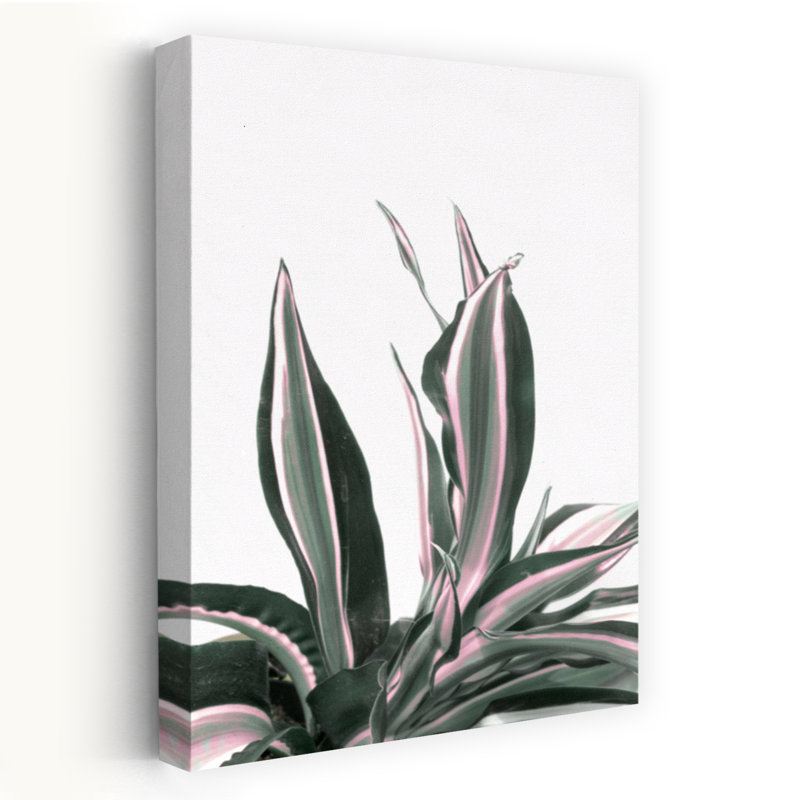 Atteinte de la nature moderne, florale et botanique, art numérique, art abstrait, art minimaliste; Moderne Tropical