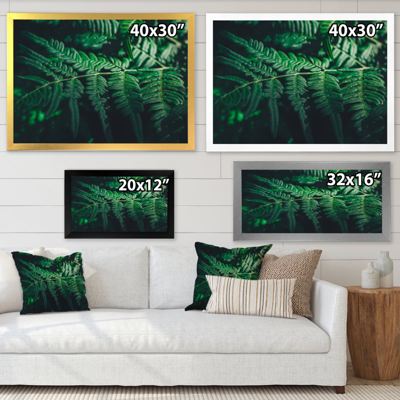 Feuille de fougère vert foncé sur fond noir VI - reproduction sur toile, Cadre photo noir, H 30 po x l 40 po