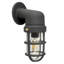 Harden Outdoor Wall Lantern-21690448-25212916