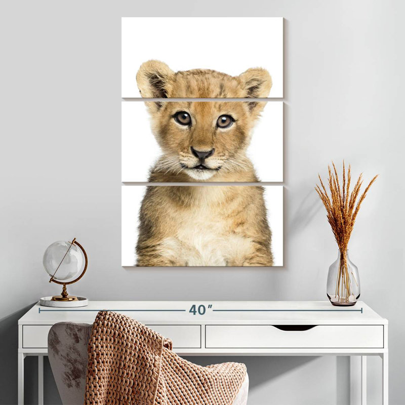 Brampt Adorable Baby Lion