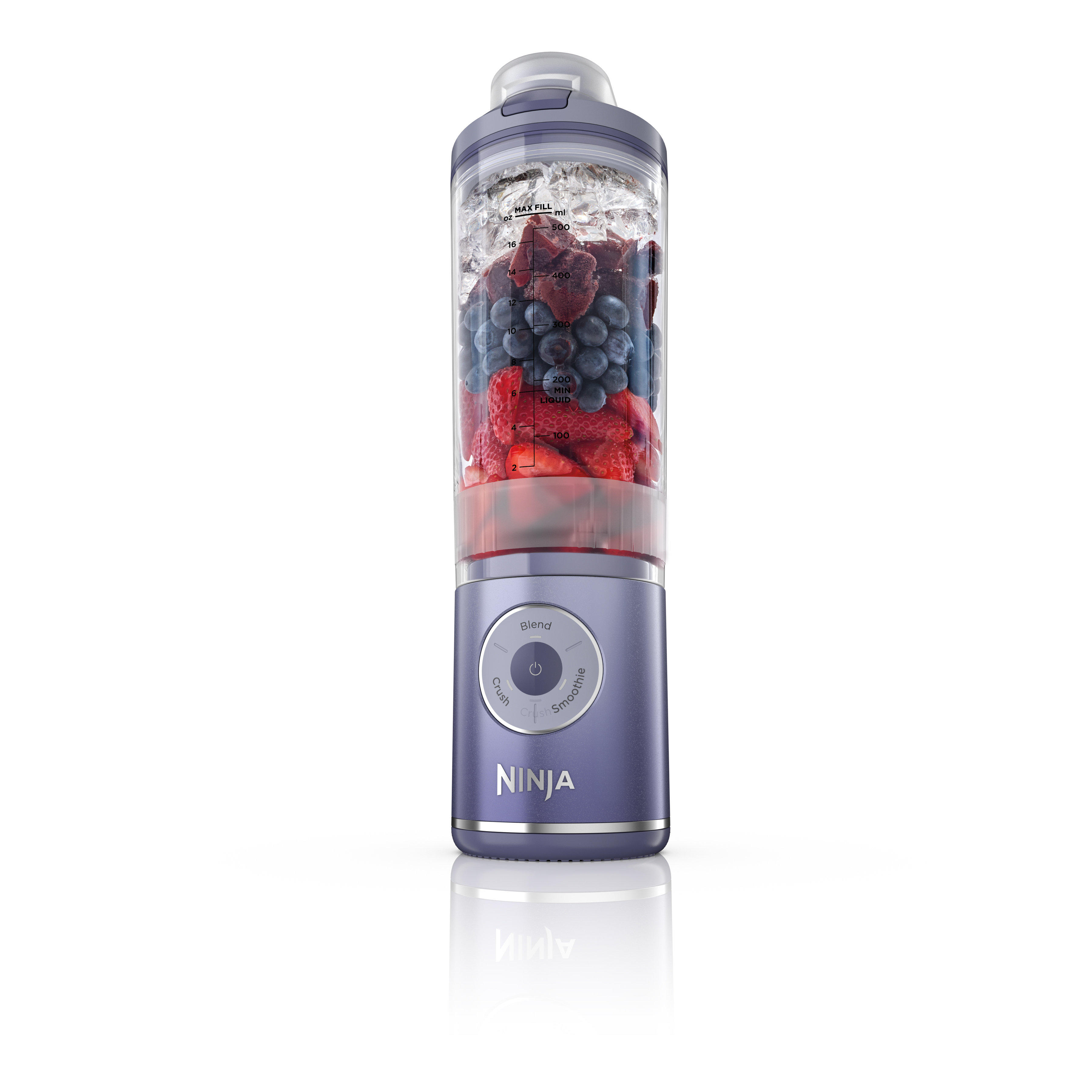 Ninja Blast Max - Portable Blender with 22.oz Twist & Go Vessel ...