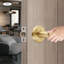 2Pcs Heavy Duty Door Levers with Keys-100673631