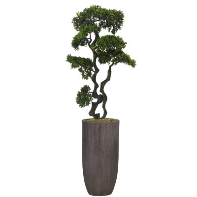 Panama 37" Artificial Bonsai Tree in Planter