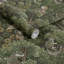 Graham & Brown Treetop Troop Damson Wallpaper-2111534185