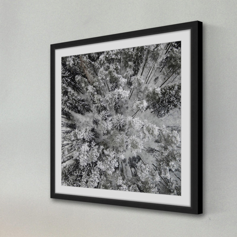 Karolis Janulis - Single Picture Frame Print, 51 cm H x 51 cm W x 3.81 cm D