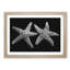Two Starfish - Picture Frame Graphic Art Print-56734771-56734772