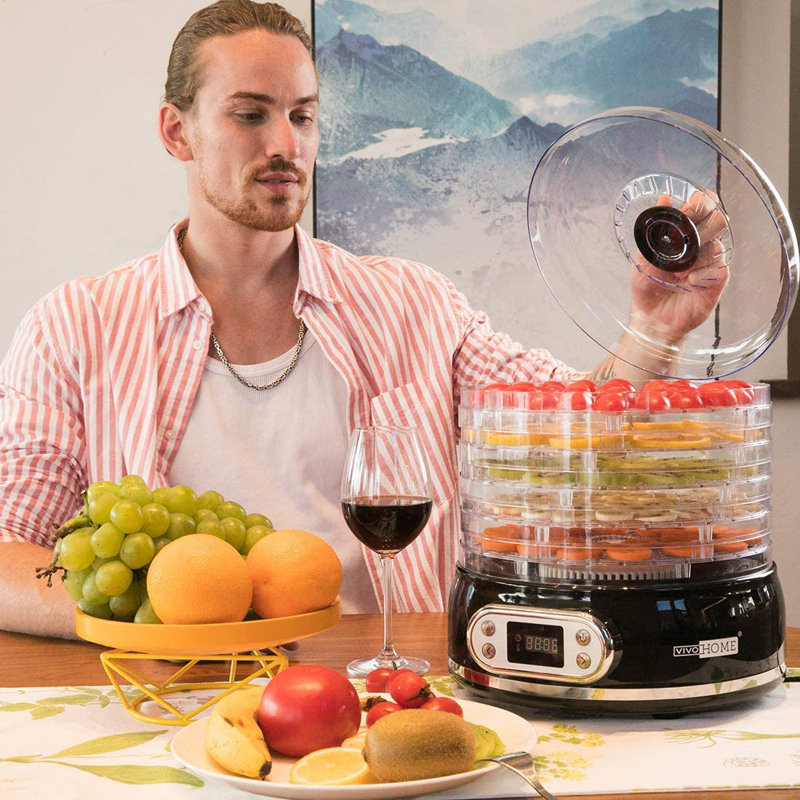 Déshydrateur d'aliments 6 plateaux Vivohome