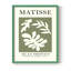 Matisse CCLXXIX Framed Print - Solid Wood-1624059977-1624059980
