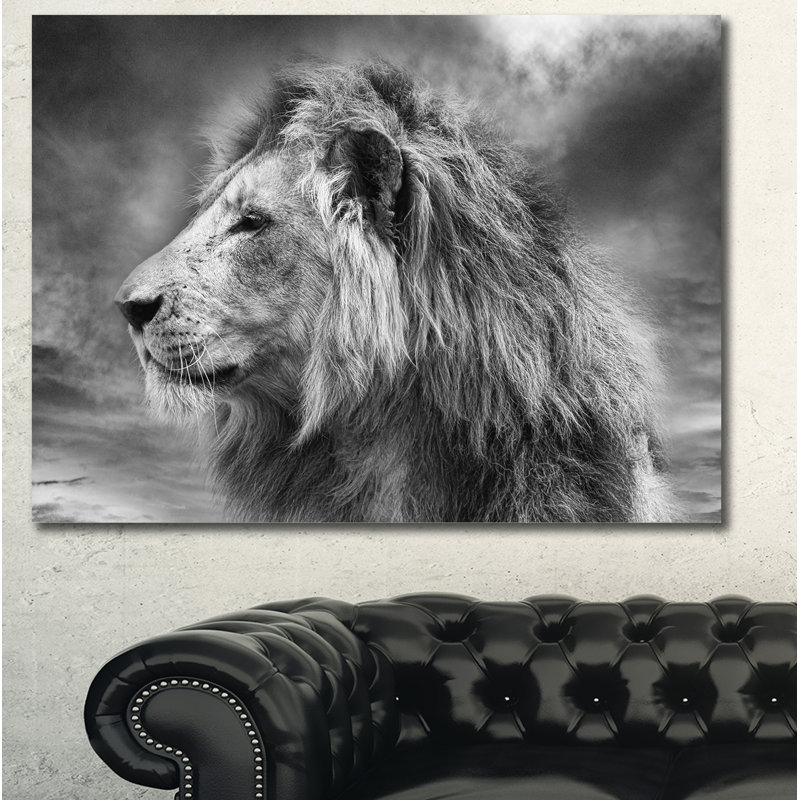 Gris sauvage, lion d'Afrique - impression, H 20 po x l 40 po x P 1po, H 36 po x l 46 po x P 1,5 po