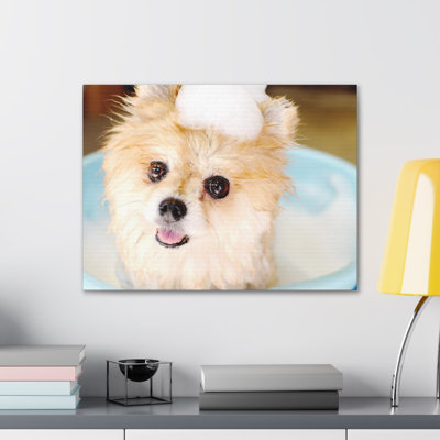 Cute Pomeranian Bathee Canvas Wall Art