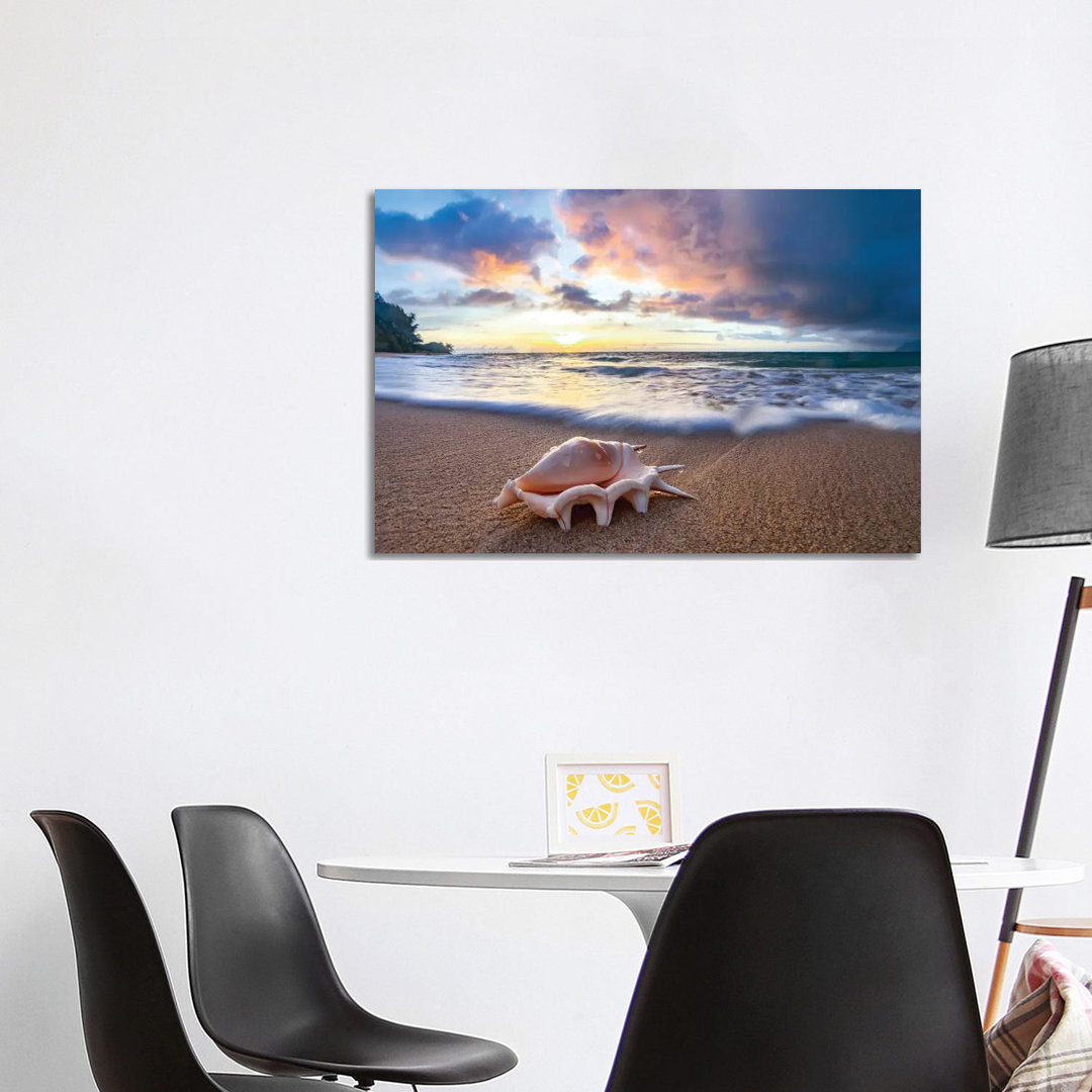 Shell Sea Drops von Sean Davey - No Frame Gallery-Wrapped Canvas Giclée on Canvas