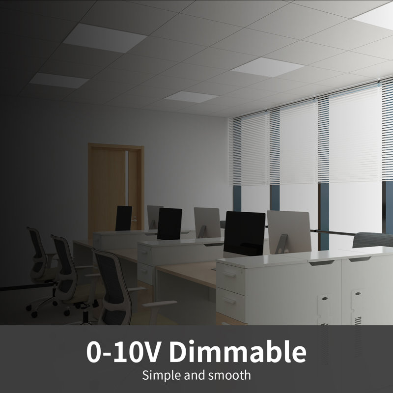 2' x 2' LED Back-Lit Panel Light