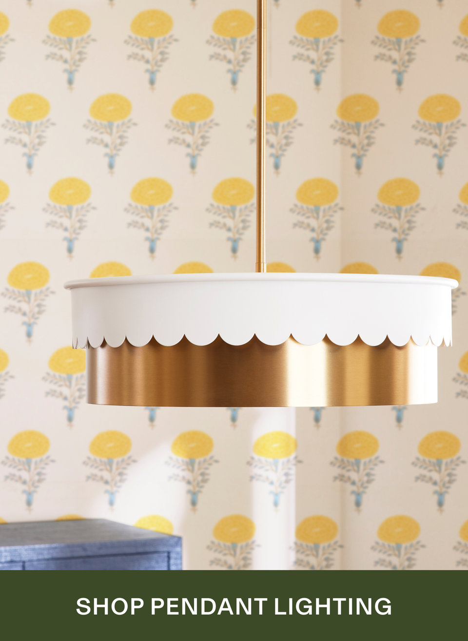 Shop Pendant Lighting