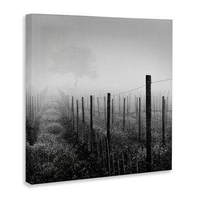 «Vineyard at Dawn» par Chip Forelli
