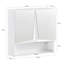 Krishaun 48mm W 48mm H Surface Medicine Cabinet with Mirror and 2 Shelves
