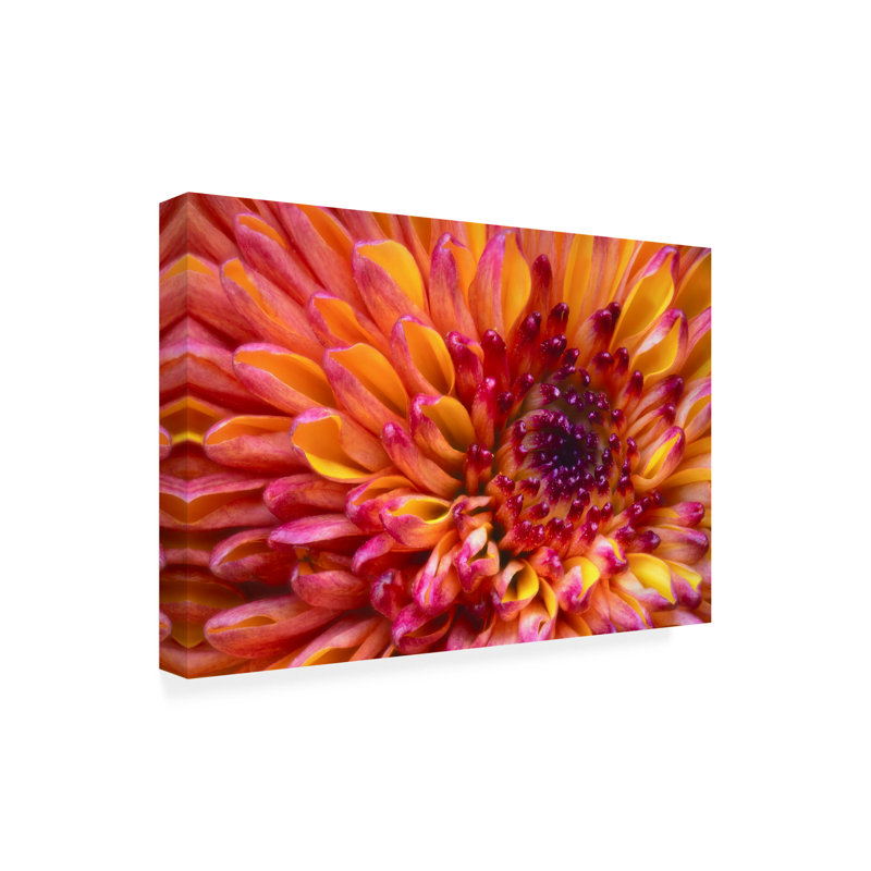 Art sur toile, orange Janice Sullivan, H 12 po x l 19 po