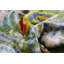 Velvet Lumbar Pillow Cover & Insert-292865487