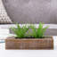 14 cm H Faux Onion Grass Plant in Solid Wood Planter-1073298280