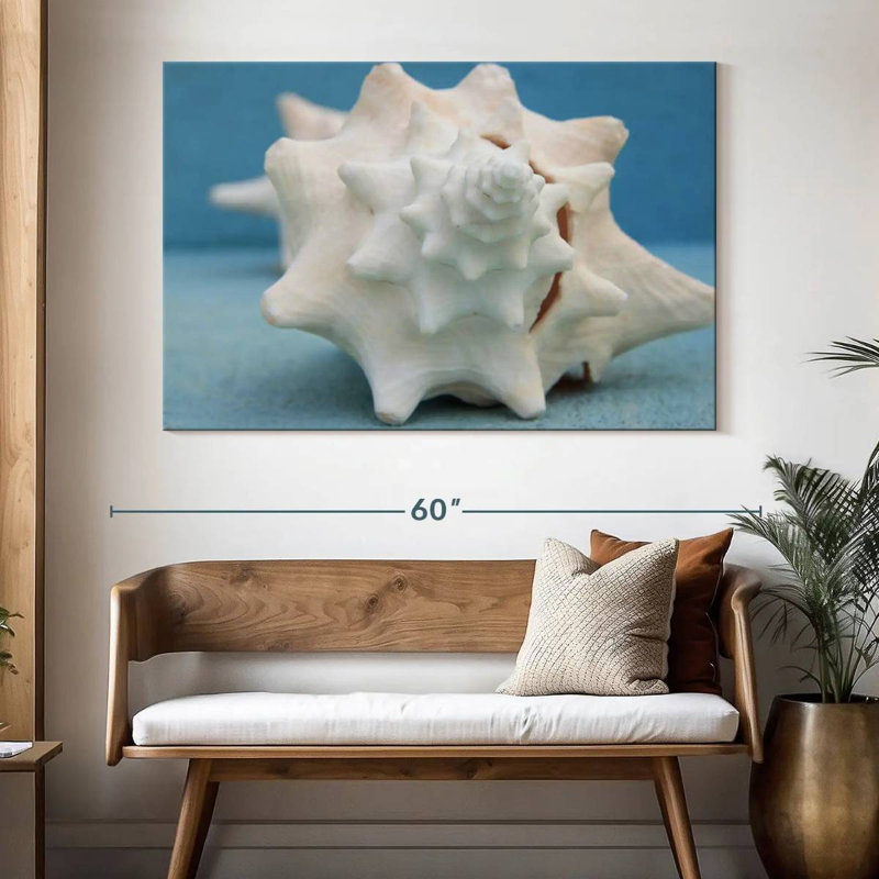 White conch seashell Aletra, H 34 po x l 51 po