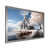 Silver Single Picture Framed