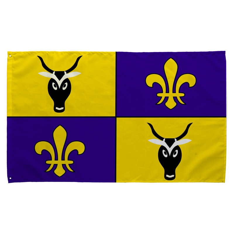 Drapeau de la ville d'Antananarivo - Drapeau